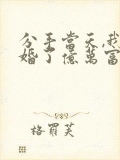 分手当天,我闪婚了亿万富豪短剧