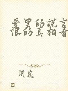 爱里的谎言,仇恨的真相看大结局