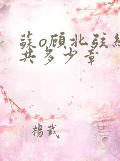 苏o顾北弦结局共多少章