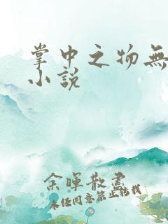 掌中之物无删减小说