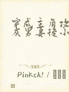 穿成主角攻的炮灰男妻后小说