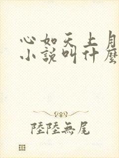 心如天上月原著小说叫什么