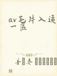 av毛片入逼片一区