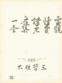 一夜错情电视剧全集免费观看