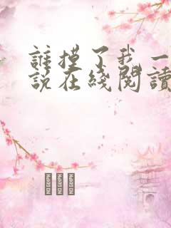 谁摸了我一下小说在线阅读