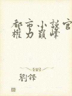 都市小说官途:权力巅峰