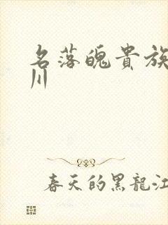 名落魄贵族琉璃川