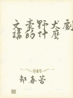 文豪野犬剧场版讲的什么