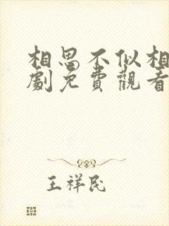 相思不似相逢短剧免费观看