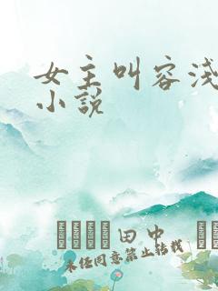 女主叫容浅夏的小说