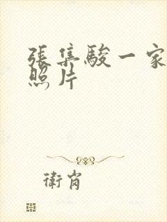 张集骏一家三口照片