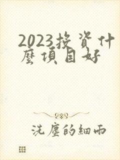 2023投资什么项目好