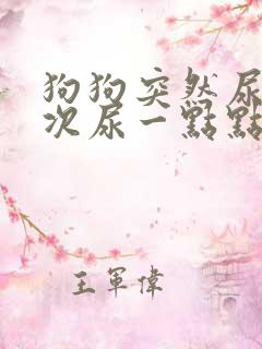 狗狗突然尿频每次尿一点点