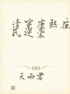 清穿康熙庶妃张氏逆袭