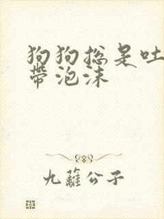 狗狗总是吐黄水带泡沫