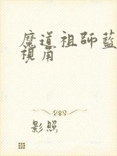 魔道祖师蓝忘机视角