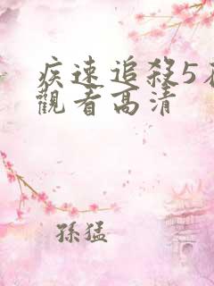 疾速追杀5在线观看高清