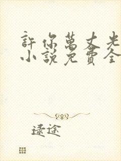 许你万丈光芒好小说免费全文阅读一