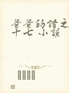 爸爸的错之女儿十七 小说