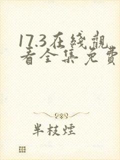 17.3在线观看全集免费完整国语