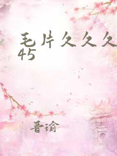 毛片久久久久久45