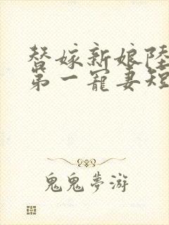 替嫁新娘陆总的第一宠妻短剧免费