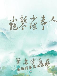 小说少夫人她惊艳全球了