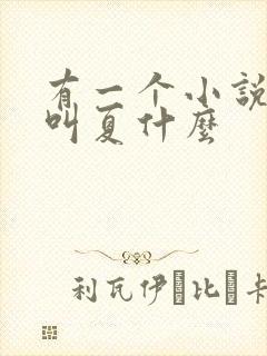 有一个小说女主叫夏什么