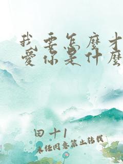 我要怎么才能不爱你是什么歌