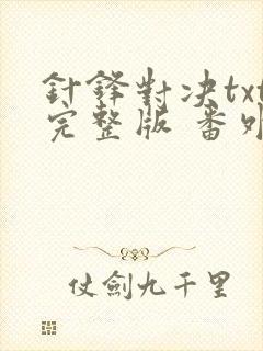 针锋对决txt完整版 番外