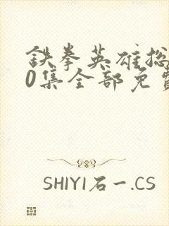 铁拳英雄总共30集全部免费观看