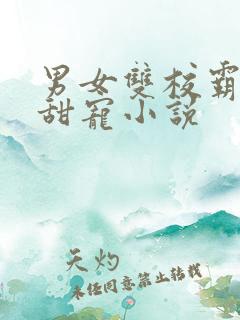 男女双校霸校园甜宠小说