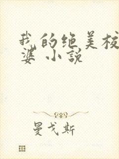 我的绝美校花老婆 小说