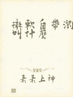 微软自带浏览器叫什么