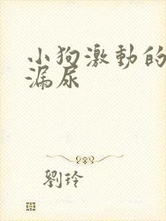 小狗激动的时候漏尿