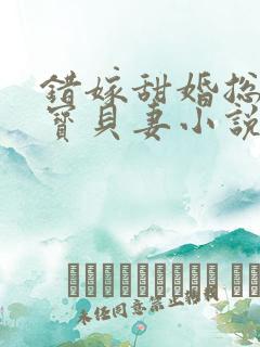 错嫁甜婚总裁的宝贝妻小说完整版