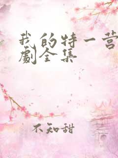 我的特一营电视剧全集