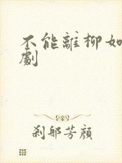 不能离柳如烟短剧