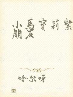 小马宝莉紫悦男朋友