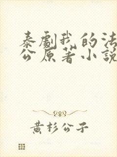 泰剧我的法定老公原著小说