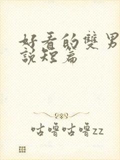 好看的双男主小说短篇