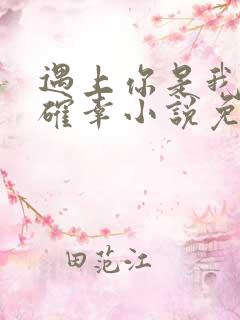 遇上你是我的小确幸小说免费阅读