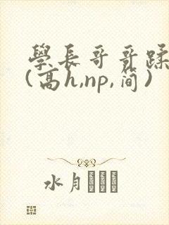 学长哥哥蹂躏你(高h,np,简)