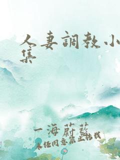 人妻调教小说合集