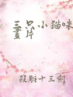 三只小猫咪的动画片