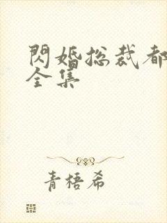 闪婚总裁都很穷全集