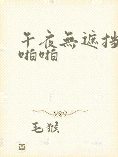 午夜无遮挡男女啪啪