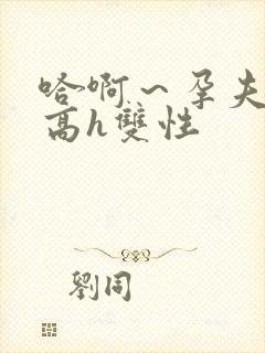 哈啊～孕夫大肚高h双性