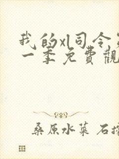 我的xl司令第一季免费观看动漫全集