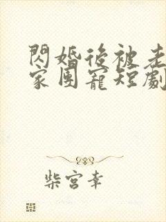 闪婚后被老公全家团宠短剧资源